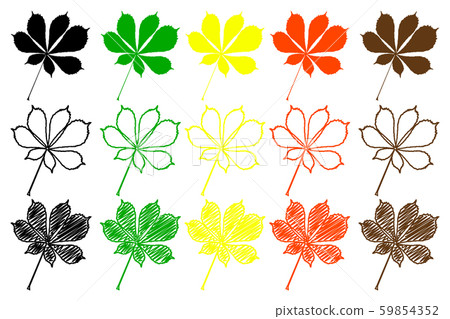 buckeye leaf color set 59854352