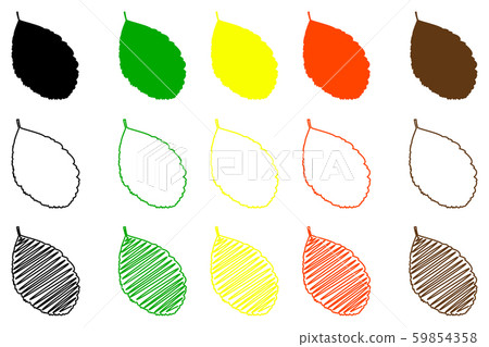rowan leaf color set 59854358
