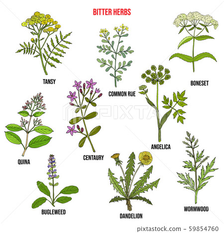 Bitter herbs collection Bitter herbs collection 59854760
