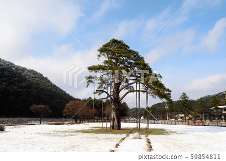 Zui Yi Pong 59854811