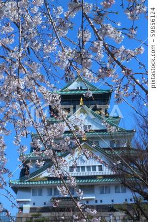 Osaka Castle and hanging cherry Osaka Castle and hanging cherry 59856124