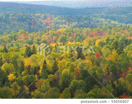 秋葉照耀在雲層中，加拿大安大略省阿岡昆公園 59856807