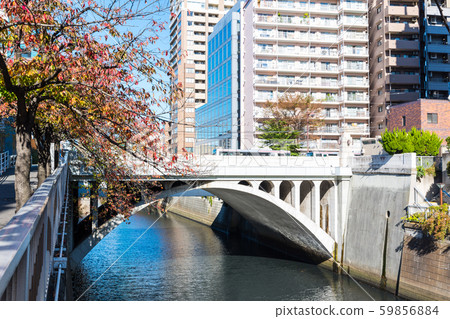 Meguro Shimbashi and Meguro River during the daytime Autumn (Meguro-ku, Tokyo) As of November 2019 59856884