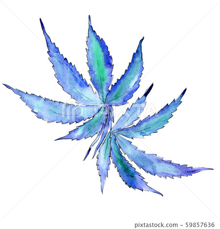 Cannabis green leaves. Watercolor background illustration set. Isolated cannabis illustration Cannabis green leaves. Watercolor background illustration set. Isolated cannabis illustration 59857636