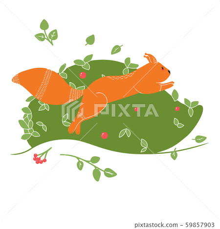 Cute Squirrel on the background of a tree, plant Cute Squirrel on the background of a tree, plant 59857903
