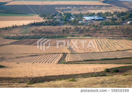 View of agricultural fields ,  lower Galilee . 59858399