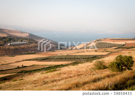 Agriculture valley on the shore of the Sea of 59858433
