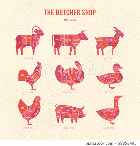 Set a schematic view of animals for the butcher shop. 59858493