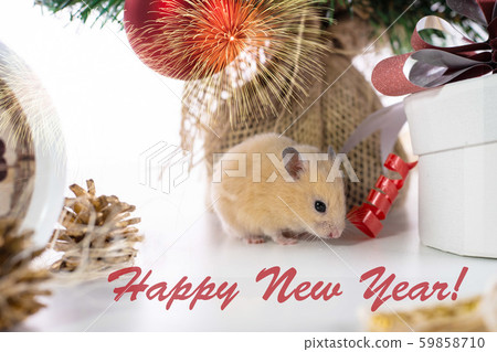 rat sits near a Christmas tree and watches. Symbol of 2020, new year, christmas. Happy New Year rat sits near a Christmas tree and watches. Symbol of 2020, new year, christmas. Happy New Year 59858710
