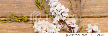 Blooming apricot on rustic wooden background. Wide 59859309