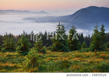 Travel, trekking. Summer landscape - mountains, green grass, trees and blue sky 59859520