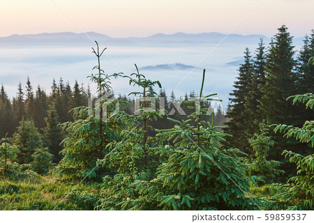 Travel, trekking. Summer landscape - mountains, green grass, trees and blue sky Travel, trekking. Summer landscape - mountains, green grass, trees and blue sky 59859537