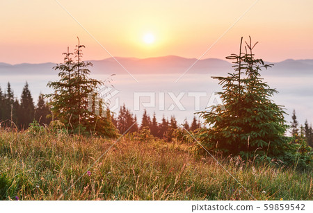 Sunset in the mountains landscape. Dramatic sky. Carpathian of Ukraine Europe Sunset in the mountains landscape. Dramatic sky. Carpathian of Ukraine Europe 59859542