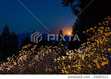 丹澤的三葉山和富士山。 丹澤的三葉山和富士山。 59860521