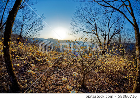 三uma社區和朝日山 59860710