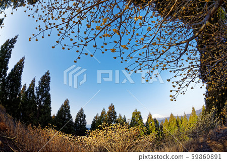 Mount Mitsumata and Mt.Fuji at Mt. Mount Mitsumata and Mt.Fuji at Mt. 59860891