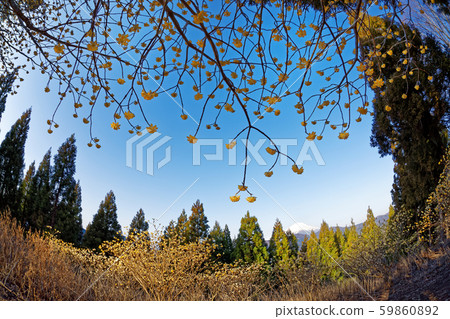 Mount Mitsumata and Mt.Fuji at Mt. Mount Mitsumata and Mt.Fuji at Mt. 59860892