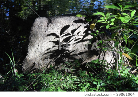 Tokugawa Garden Tokugawa Garden 59861004