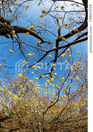 三。山社區 59861058