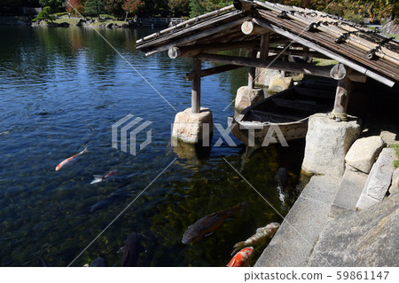 Tokugawa Garden 59861147