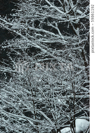 初冬的北海道定山溪地區 59861192