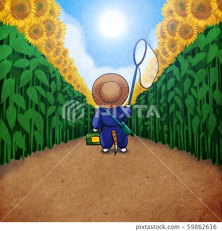 在一頂草帽的貓有昆蟲捕獲的和在向日葵領域的路的籃子在領域（自然，鄉下，區域） 59862616