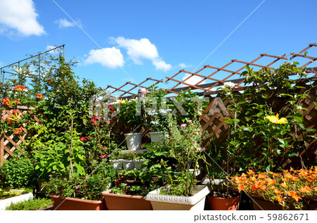 天國花園，只有藍天，看不到建築物 59862671