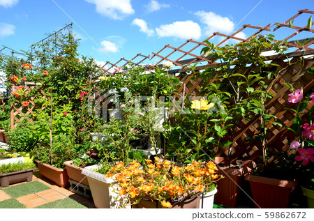 天國花園，只有藍天，看不到建築物 59862672