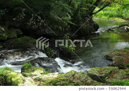Oguro Falls / Autumn 2019 Oguro Falls / Autumn 2019 59862944