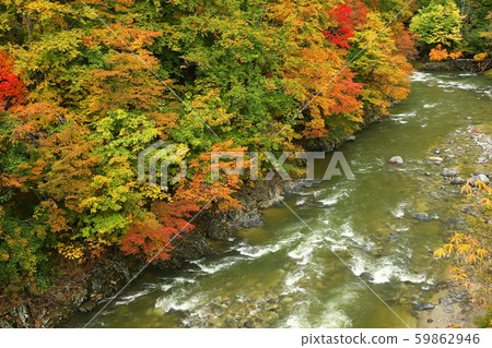 Akita Yuzawa Minasegawa / Autumn 2019 Akita Yuzawa Minasegawa / Autumn 2019 59862946