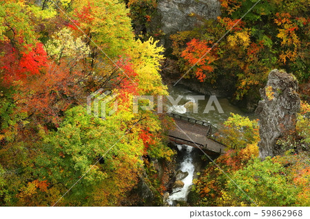 鳴子京・ 2019年秋天 59862968