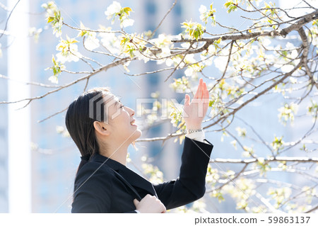 Cherry blossoms, female freshers Cherry blossoms, female freshers 59863137