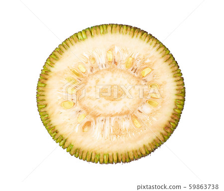 young jack fruits slice on white background. top view young jack fruits slice on white background. top view 59863738