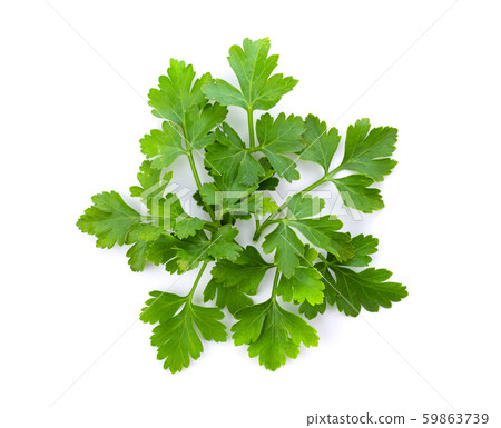 Parsley leaf isolated on a white background. top view Parsley leaf isolated on a white background. top view 59863739