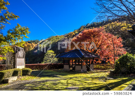 信州(長野縣北佐久區立町町幸田前中千堂) 信州(長野縣北佐久區立町町幸田前中千堂) 59863824