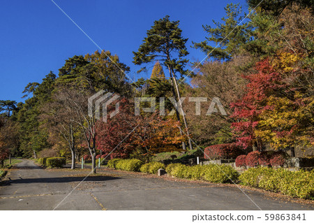 信州(長野縣北佐久區立町町幸田前中千堂) 信州(長野縣北佐久區立町町幸田前中千堂) 59863841