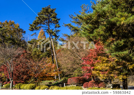 信州(長野縣北佐久區立町町幸田前中千堂) 信州(長野縣北佐久區立町町幸田前中千堂) 59863842
