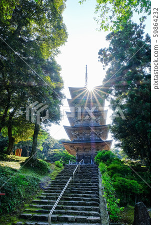 親善寺神社山(五層塔) 親善寺神社山(五層塔) 59864232