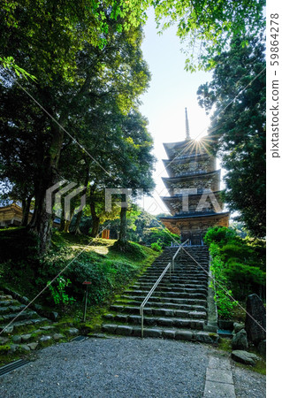 親善寺神社山(五層塔) 親善寺神社山(五層塔) 59864278