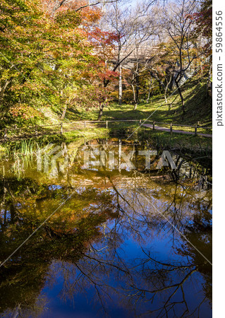 Shinshu, Takatocho Higashi Takato, Ina City, Nagano Prefecture, autumn leaves of Takato Castle Park, autumn Sakuraunbashi Bridge and moat 59864556