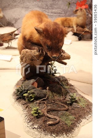 Itachi Itachi 59865436