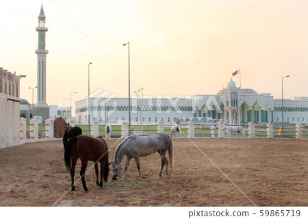 Qatar Souq Waqif Horse 59865719