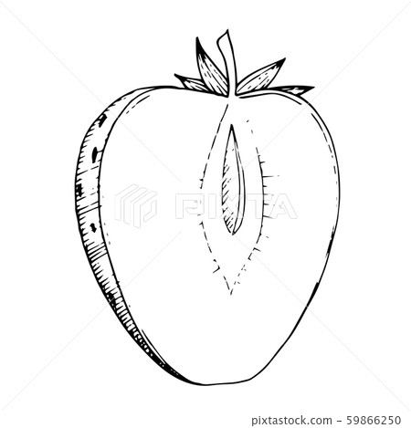 Vector Strawberry healthy food. Black and white engraved ink art. Isolated strawberry illustration Vector Strawberry healthy food. Black and white engraved ink art. Isolated strawberry illustration 59866250