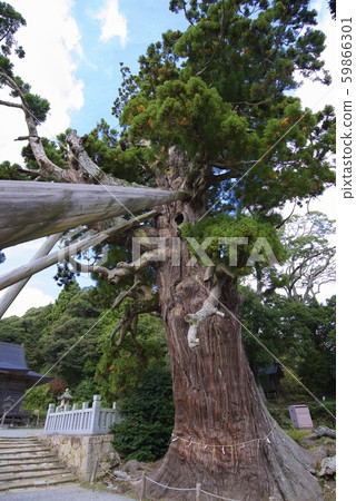 沖繩縣的沖繩民俗神社(島根縣衝岐縣衝島縣) 沖繩縣的沖繩民俗神社(島根縣衝岐縣衝島縣) 59866301