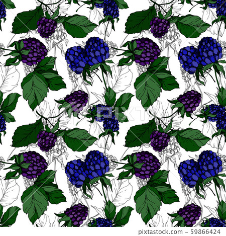 Blackberry healthy food. Black and white engraved ink art. Seamless background pattern. Fabric 59866424