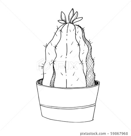 Vector Cacti floral botanical flowers. Black and white engraved ink art. Isolated cactus Vector Cacti floral botanical flowers. Black and white engraved ink art. Isolated cactus 59867968
