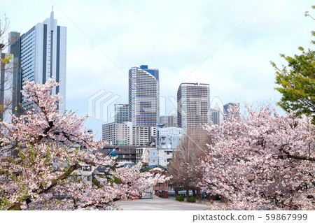 Sakura and Musashi Kosugi high-rise buildings (from Tama River bank) Sakura and Musashi Kosugi high-rise buildings (from Tama River bank) 59867999