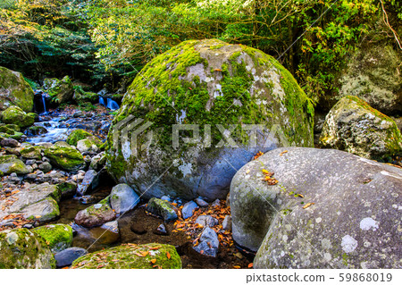 Autumn leaves of Kasuga Valley (Ureshino City, Saga Prefecture) Autumn leaves of Kasuga Valley (Ureshino City, Saga Prefecture) 59868019