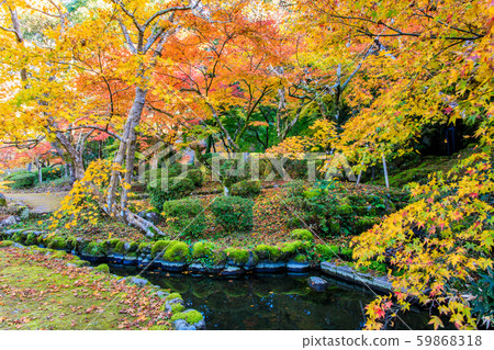 taku garden city number