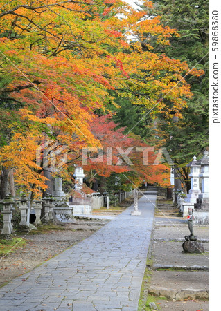 Tanukizan Kegonji Temple, autumn approach 59868380